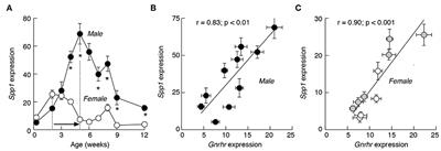 Distinct Expression Patterns of Osteopontin and Dentin Matrix Protein 1 Genes in Pituitary Gonadotrophs